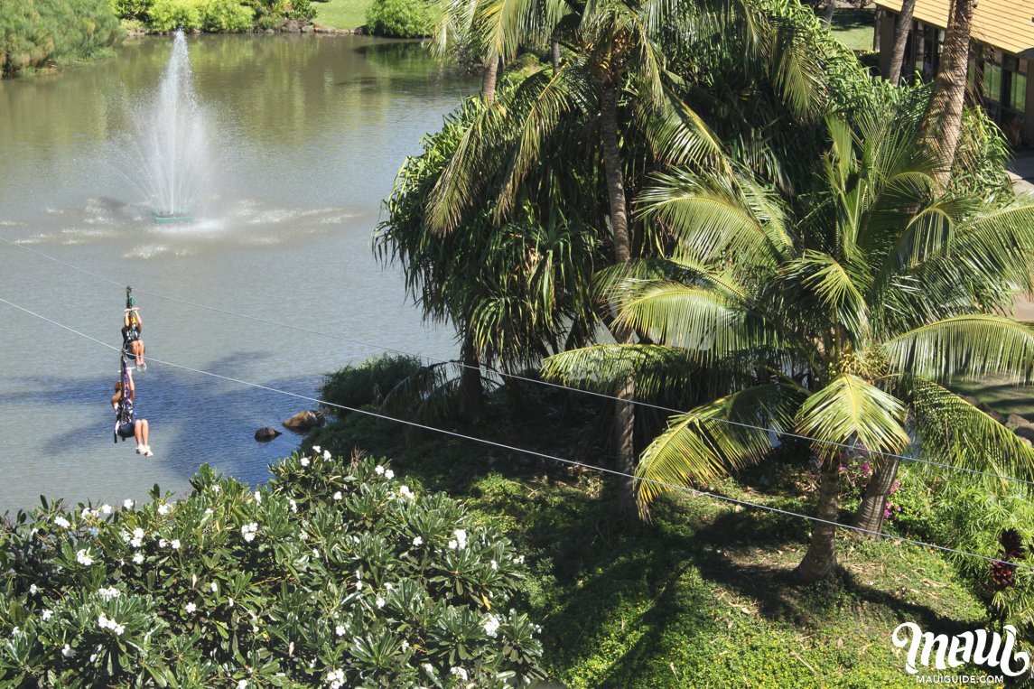 Maui Zipline Company