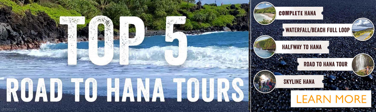 Top 5 Hana Tour