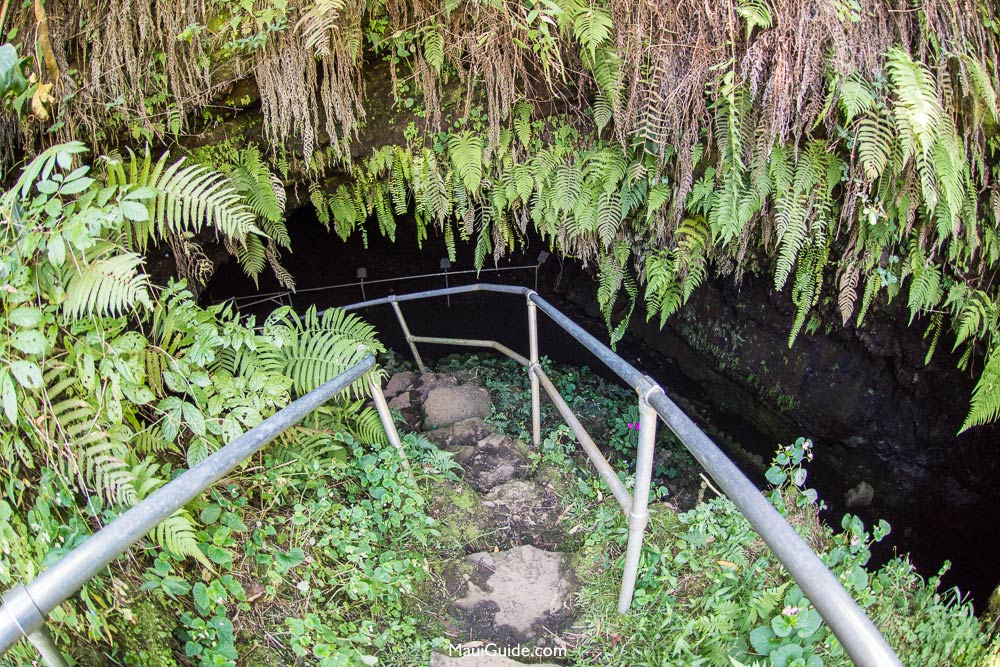 Hana-Lava Tubes - Best Island In The World