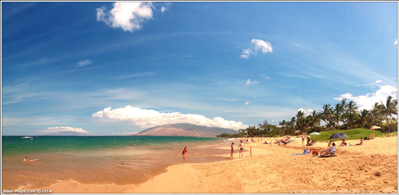 beach Day