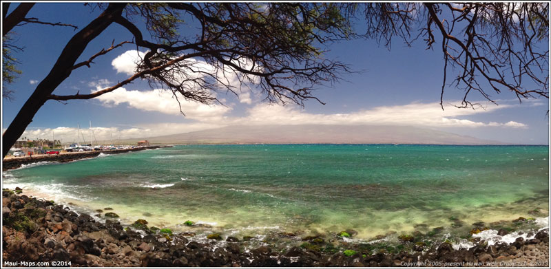 Maalaea Harbor