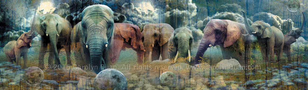 Maui Artist Bio: Caroline Quan