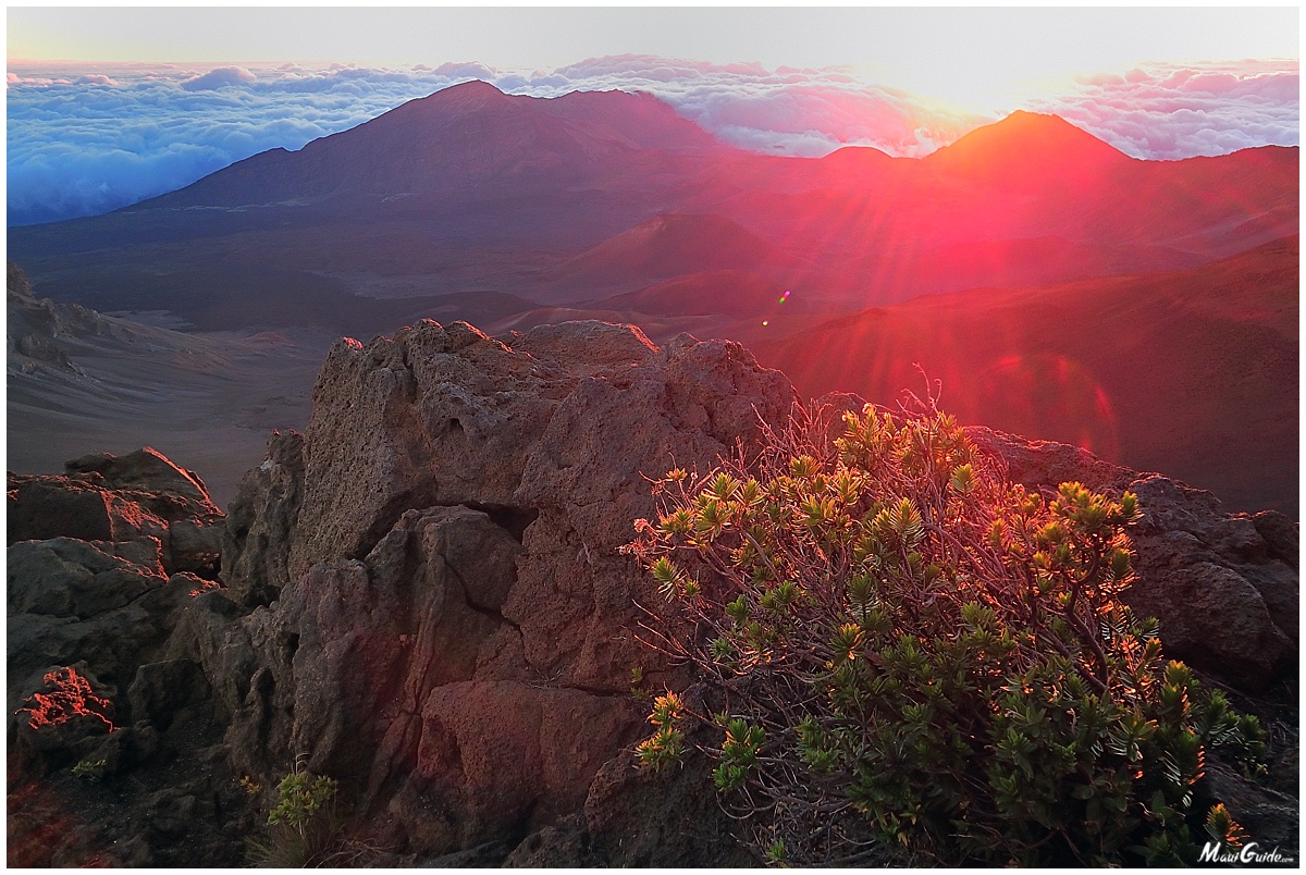 sunrise biking tours maui