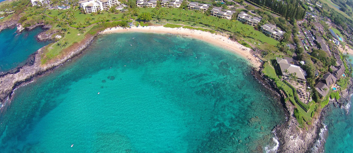 Kapalua Bay Beach Review Maui Guide Kapalua Bay Beach Review Maui Guide