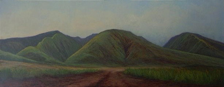 Maui Artist Bio: Thomas Metcalf - Maui Artsits - Maui Guide