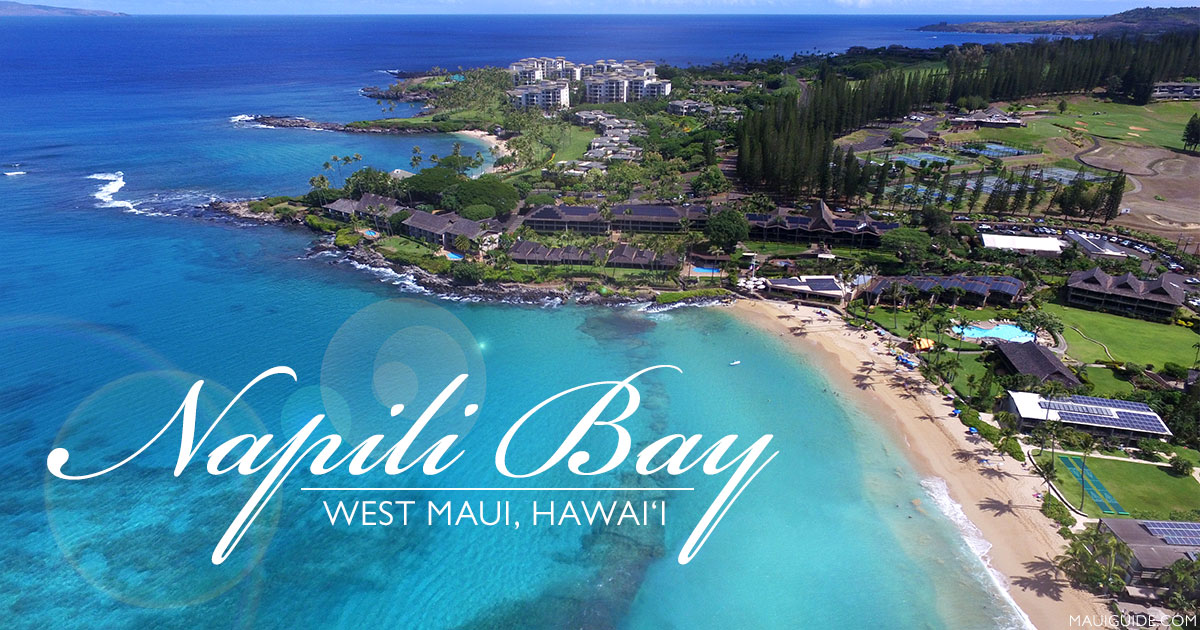 Napili Bay Beach Review - Maui Beaches - Maui Guide