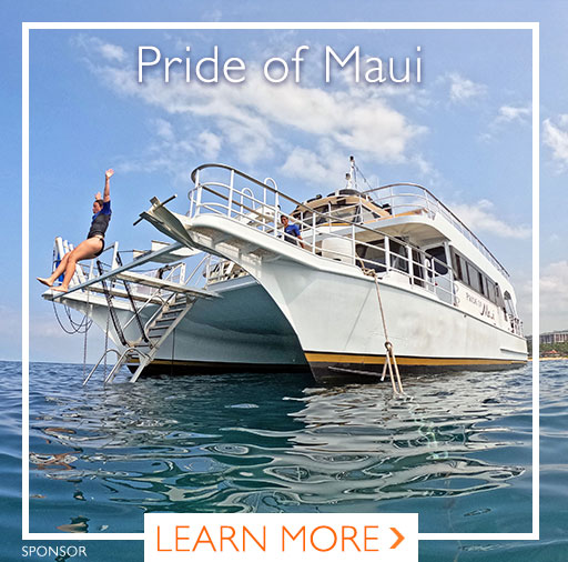 Maui snorkeling