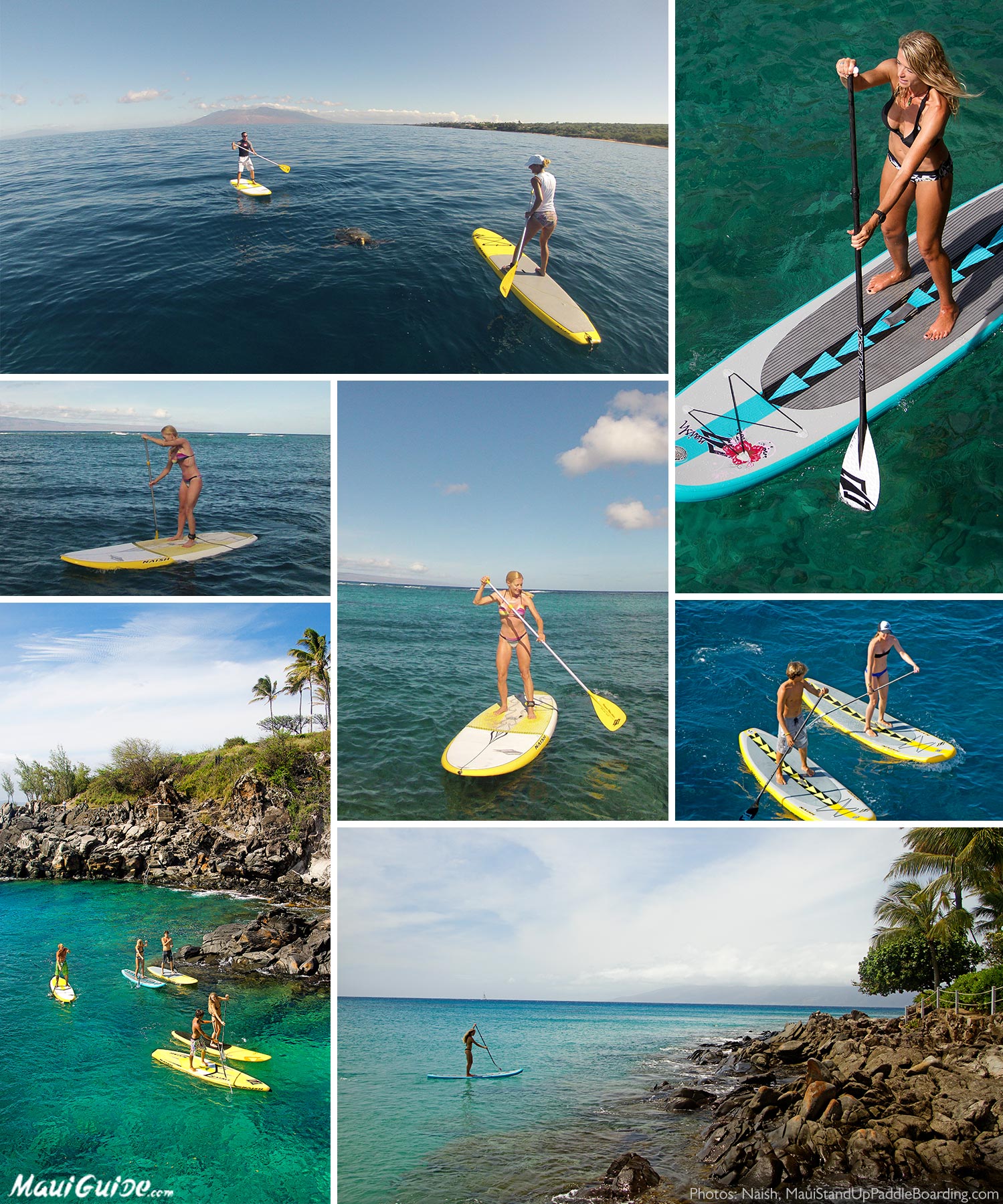 maui and sons stand up paddle