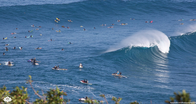 maui surfing