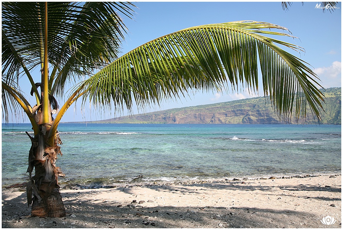 big island beaches