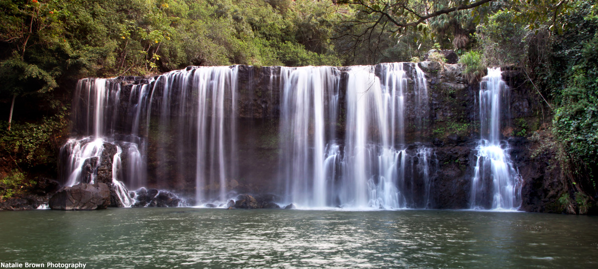 Maui Artist Bio: Natalie Brown