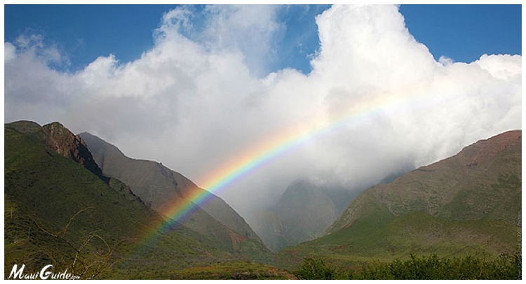 Energy Sources in Maui