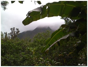 wailuku town