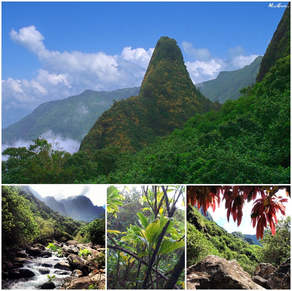 Wailuku Map  Photos, Video, Local Tips Wailuku Maui, Hawaii