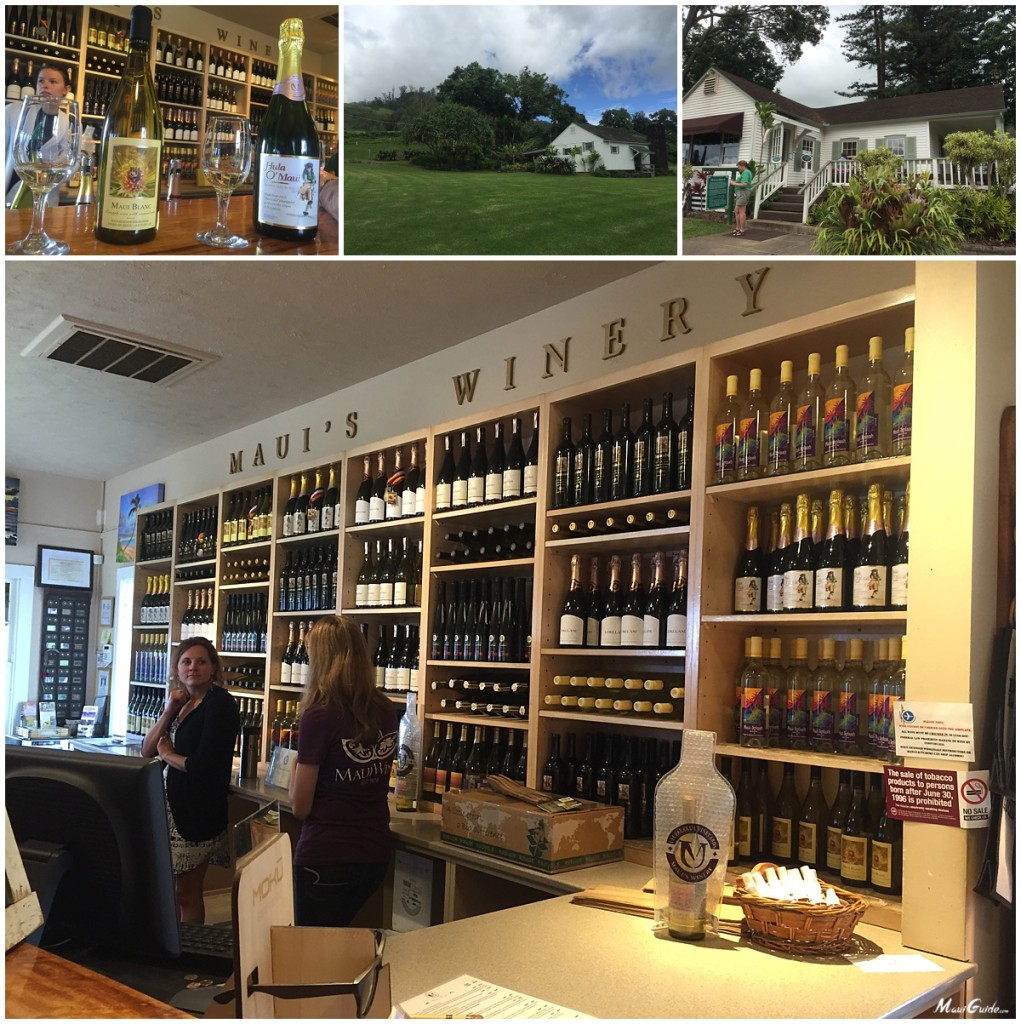 Maui's Winery Review Maui Guide