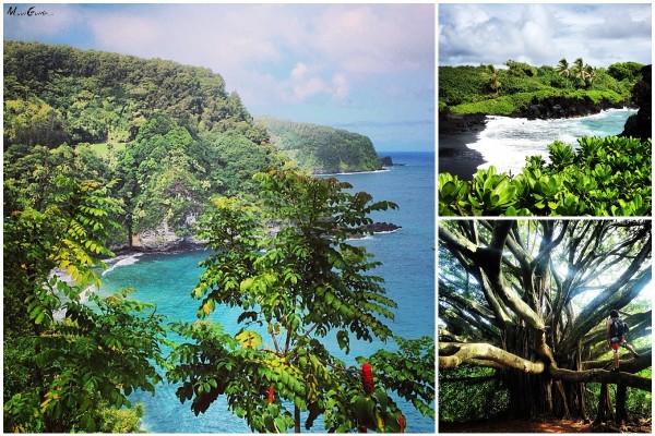 Road to Hana Maui | Photos & Local Tips for the Road to Hana