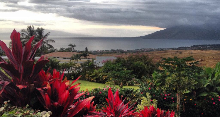 maui best real estate
