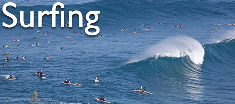 surfing link