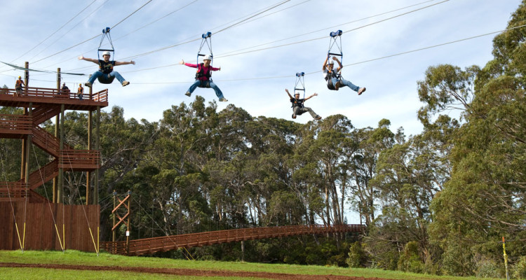 ziplining