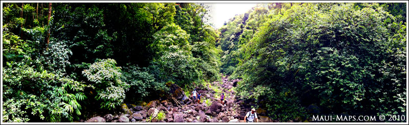 hiking in Maui