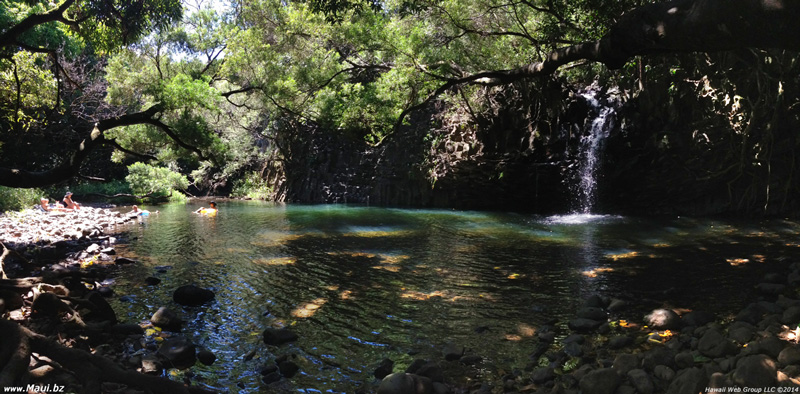 wailele farm