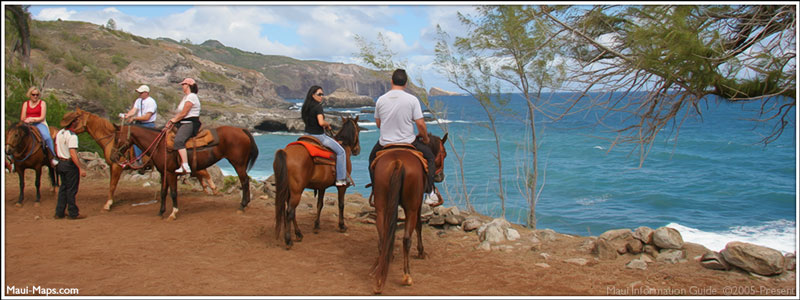 Horseback Tours