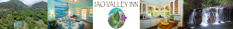 Iao Valley Inn