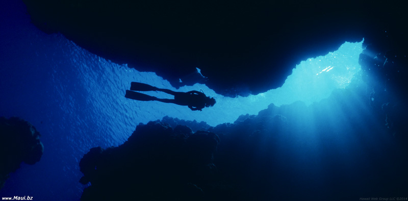 scuba diving maui