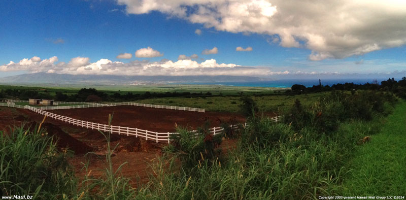 Upcountry Maui