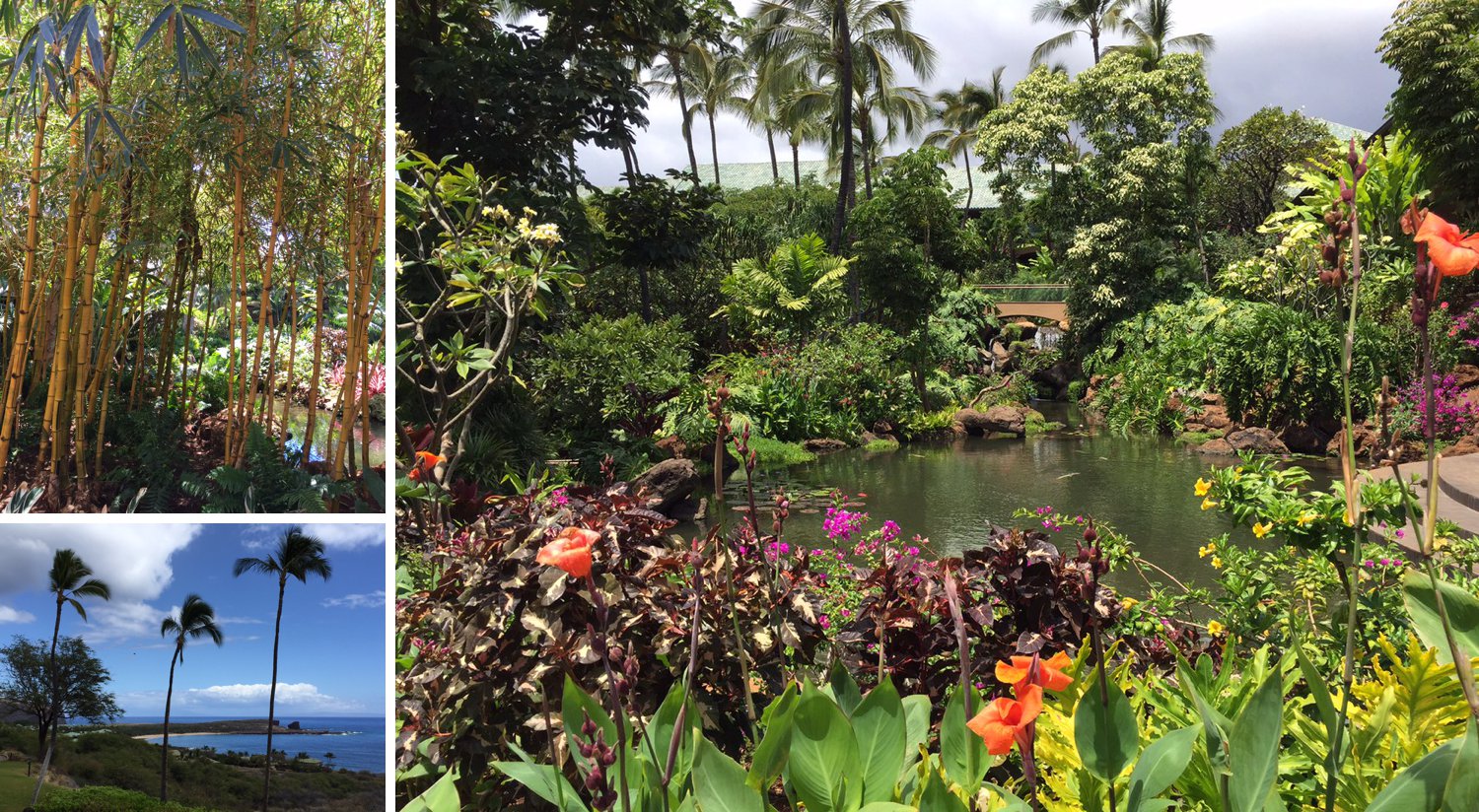 lanai resort grounds