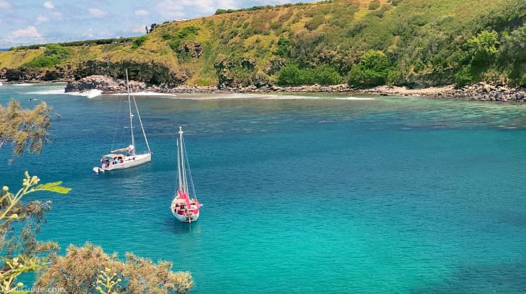 Maui Snorkeling Tips Honolua Boats