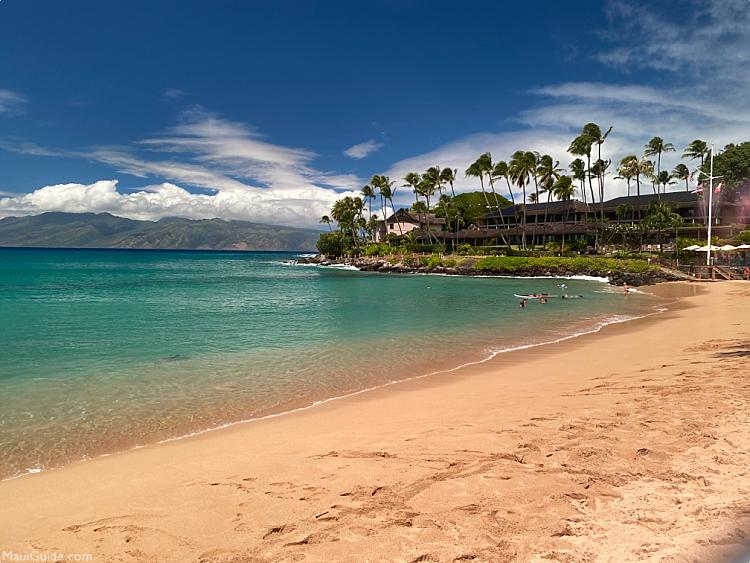 Maui Snorkeling Tips Calm Water