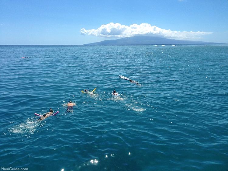 Maui Snorkeling Tips Floatation