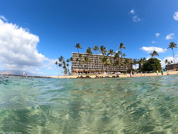 Maui Snorkeling Tips Landmark