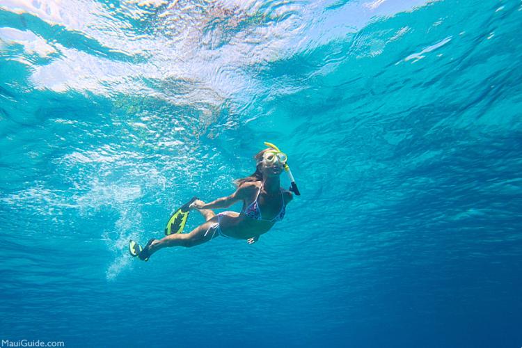 Maui Snorkeling Tips Underwater