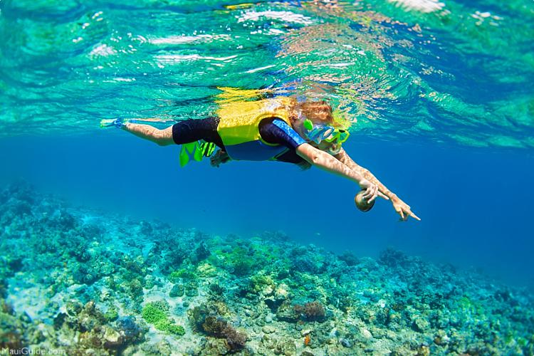 Maui Snorkeling Tips Kid