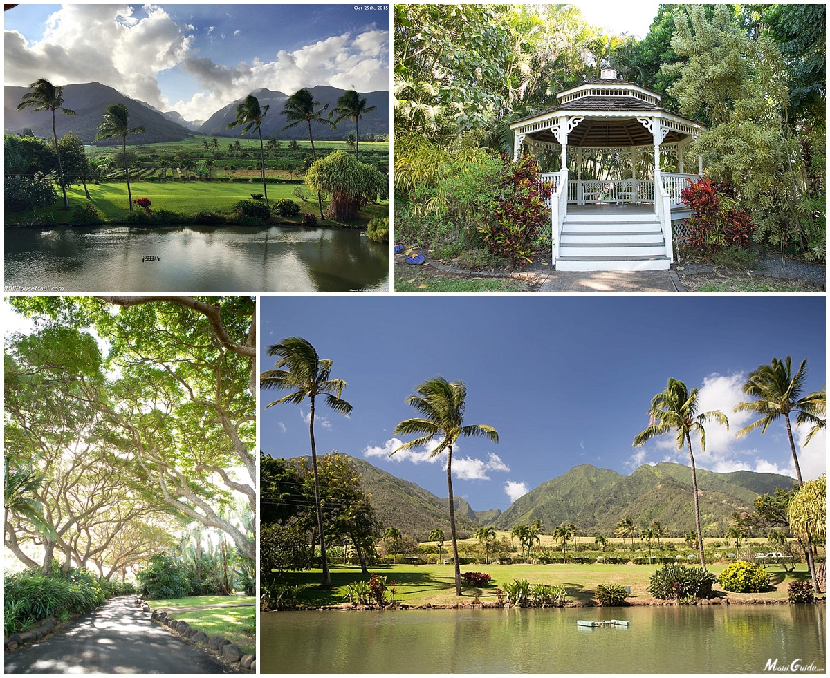 Hawaiian Wedding Venues With Serious Tropical Vibes