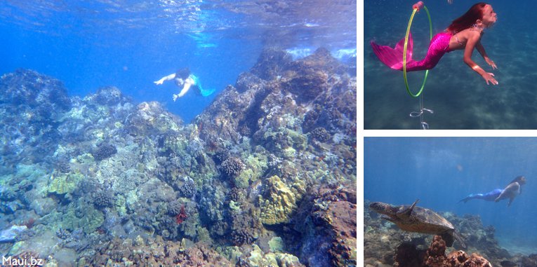 mermaid in Maui Hawaii