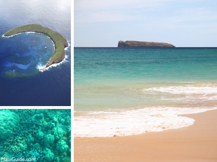 molokini crater