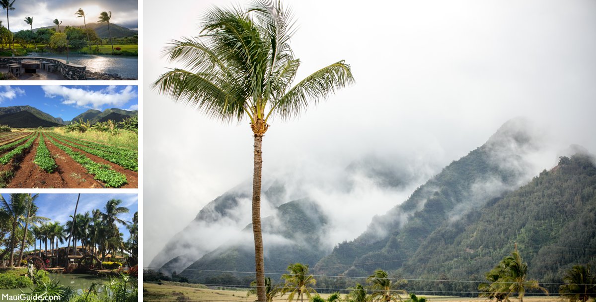 waikapu valley