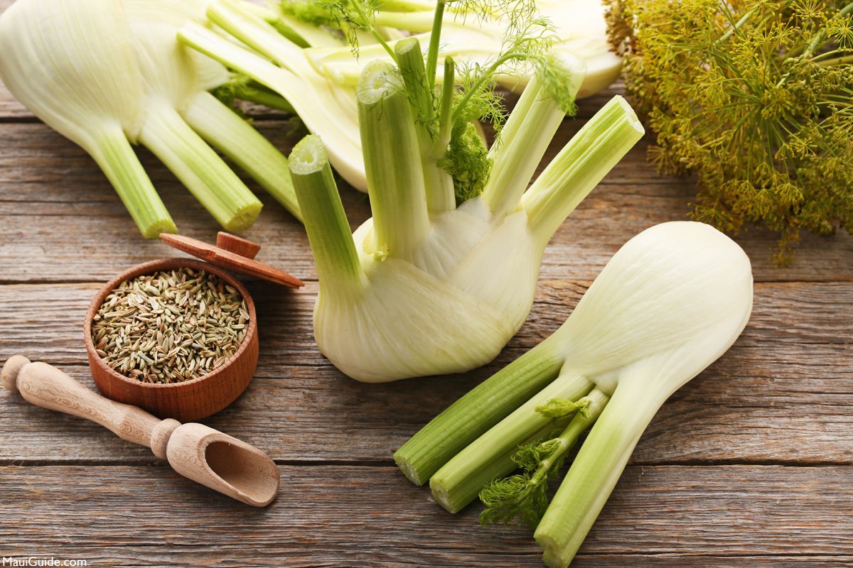 Maui fennel