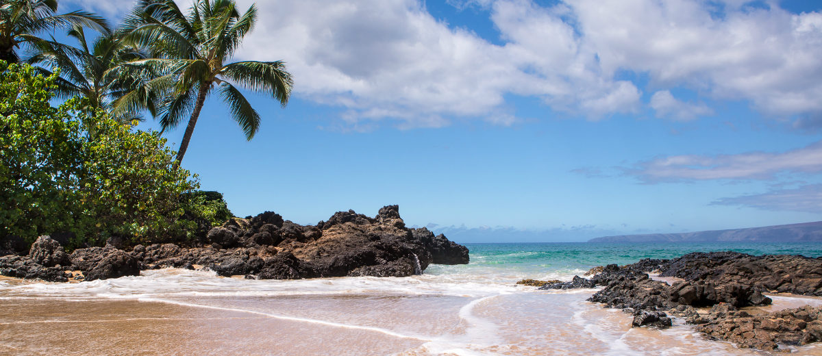 perfect day activities maui