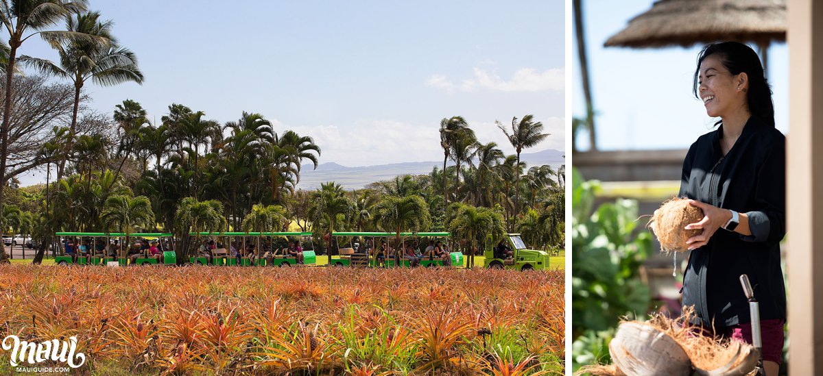 Maui farm tour