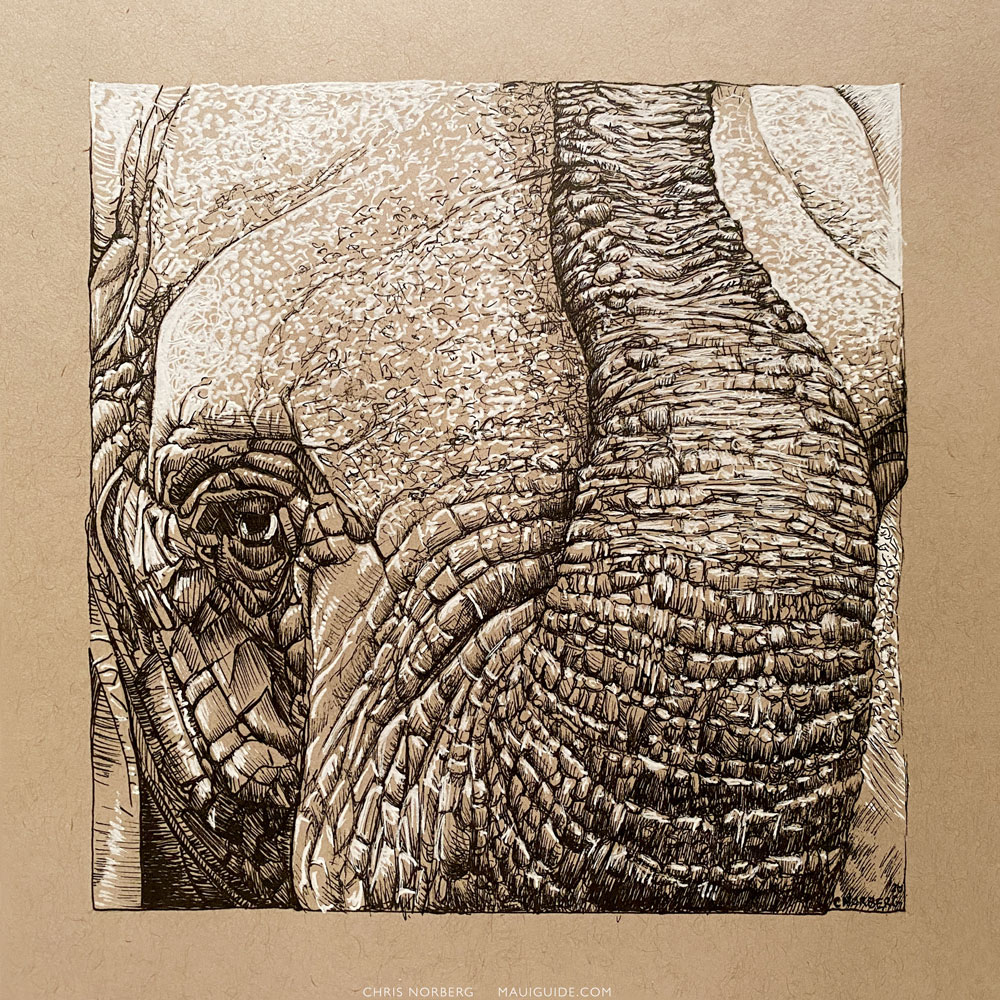 elephant 2020 art