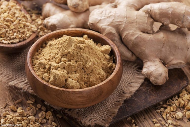 Hawaii Ginger Maui Plant of the Month ‘awapuhi kuahiwi