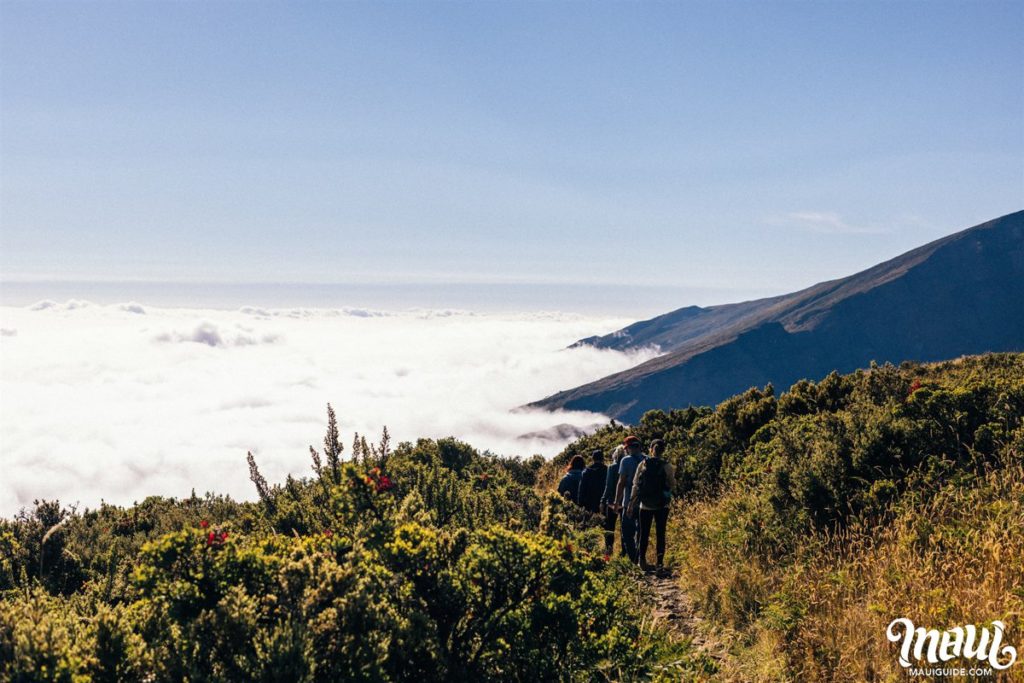 Haleakala hikers