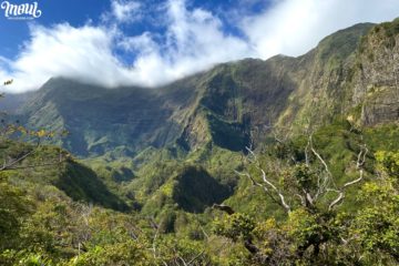 Iao Valley Map | Photos & Local Tips of Iao Valley Maui, Hawaii