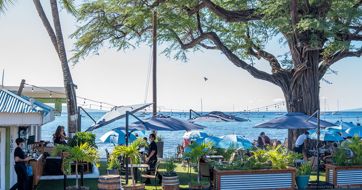 Mala Ocean Tavern