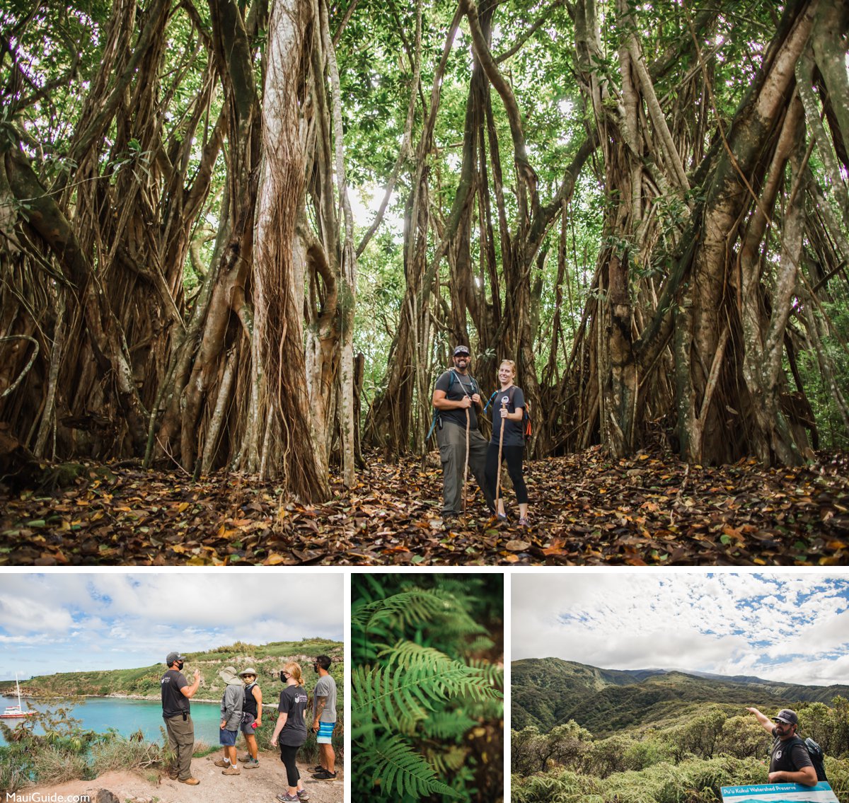 Honolua Ridge Hike