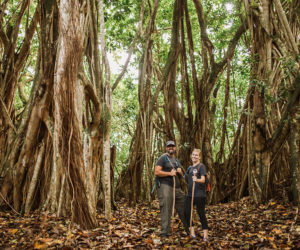 Honolua Hike
